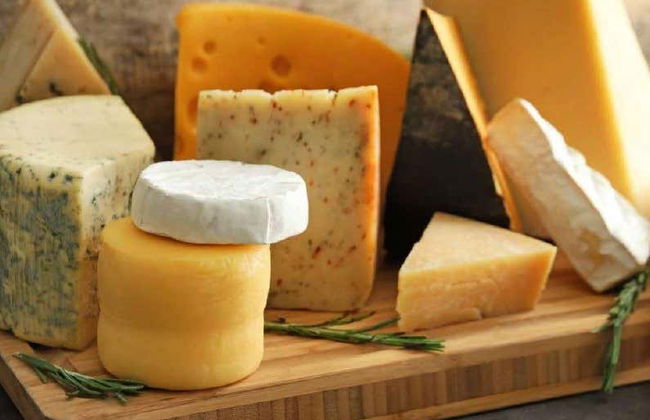 Day Trip to Nova Petrópolis - Photo 6