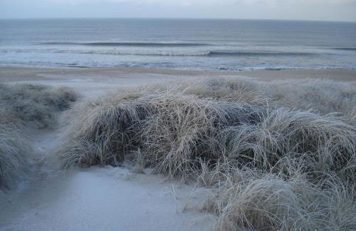 Appartement Kayser Sylt - Foto 24