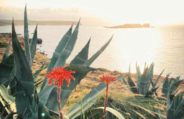 Casa Biota - Foto 60