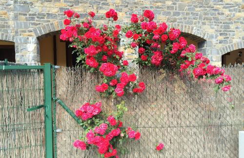 Apartamentos Portal de Ordesa - Photo 50