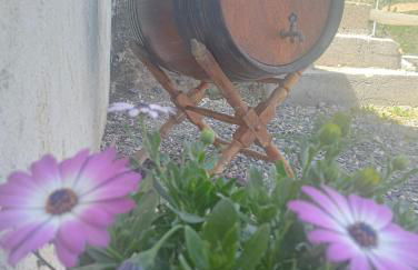 CASA CUEVA y CASITA RURAL EL PERUCHO - Foto 23