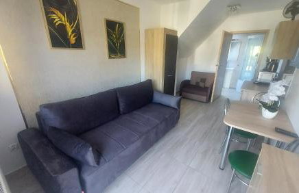 Pokoje gościnne Silver - Foto 12