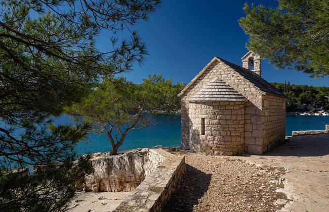 Olive Eden - Foto 28