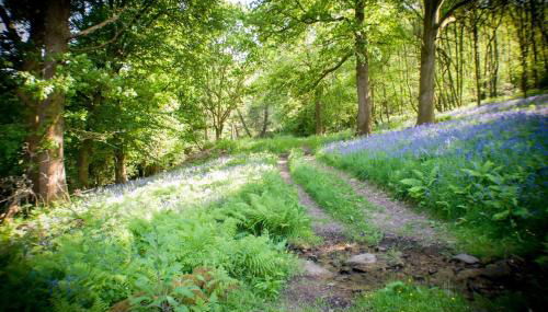 Secluded and self-contained Room with a View - Foto 3