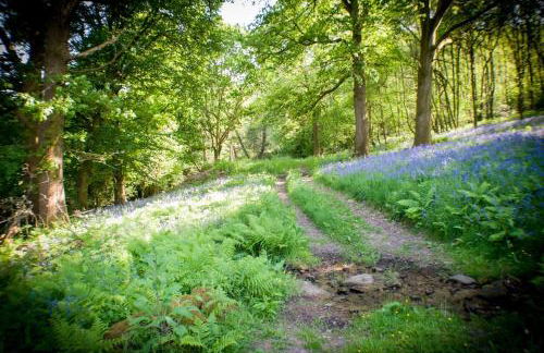 Secluded and self-contained Room with a View - Foto 3