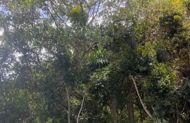 Residencial Sunset - Photo 11