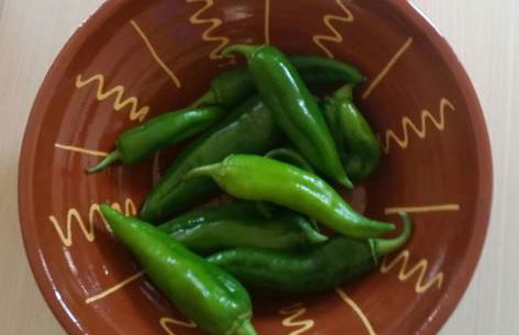 Finca Las Morenas - Foto 31