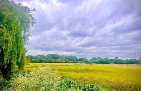 Valley View - Foto 7