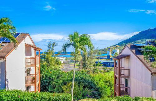 Central and Bright 2 BR, 2 BA, Pool and Oceanview - Foto 25