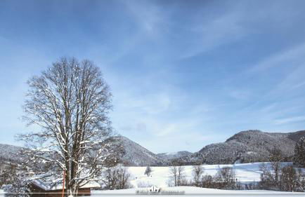 Landhaus Bellecôte - Foto 35