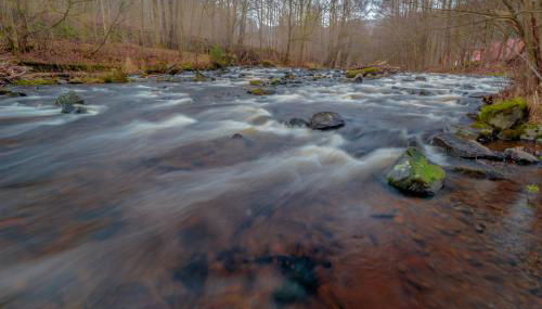 Gemütliches Blockhaus im Harz - Foto 4