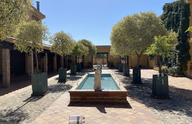 Cortijo Galván - Photo 33