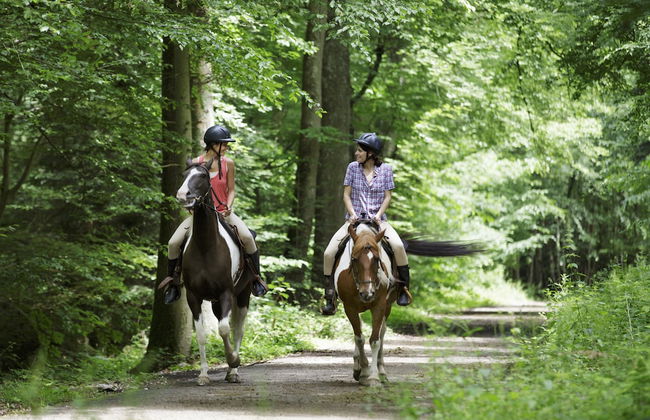 Center Parcs Les Bois-Francs - Foto 72