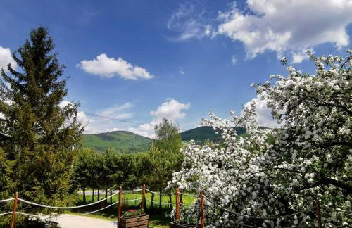 AGROTURYSTYKA POD ŚNIEŻNĄ - Foto 77