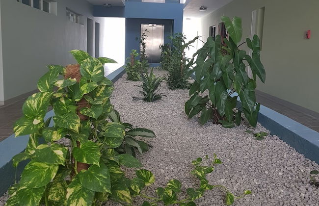 New Kingston Luxury Apt The Bromptons - Foto 22