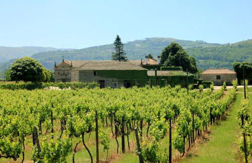 Quinta De Guimaraes - Foto 24