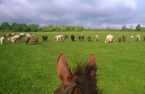 Battens Farm Cottages - B&B and Self-catering Accommodation - Foto 32