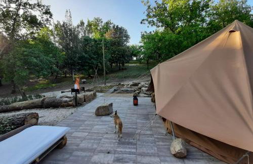Agriturismo e Glamping Serraiola Alta - Foto 124
