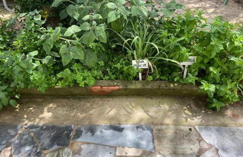 Quinta dos Pinheiros - Foto 32