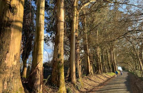 Casa Otilia - Rural - Camino de Santiago - Arzúa - Foto 68