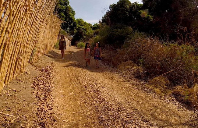 Pica Oasis Hiking Tour - Photo 6