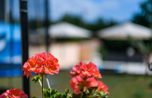 House Angela with private pool, private parking, wi-fi and fully fenced garden - WiiBuk - Foto 15