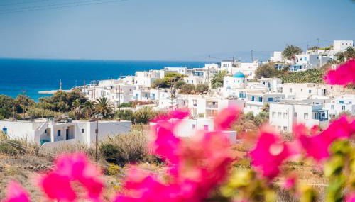 Pothiti Studios - Photo 3