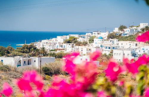 Pothiti Studios - Photo 3