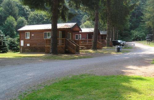 Thunderbird Studio Cabin 4 - Foto 7