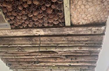 Bridie -rose with wood tub country retreat mini zoo - Foto 51