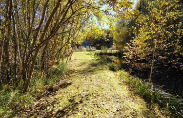 Kolorowe Wzgórze Zagórze - Foto 59