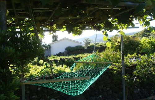 Silveira's Home - Photo 1