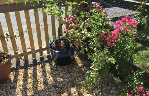 Glanyrafon Smithy - Photo 28