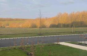 The Pink House - Foto 3