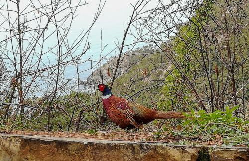 La notte sull'isola - Montaretto - tra il cielo e il mare - Foto 48