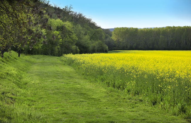 Agriturismo Il Corniolo - Photo 58