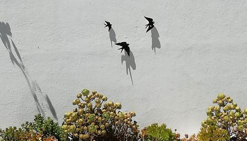 Casa Tazmin - Foto 5, Garden view