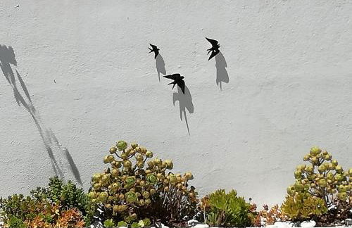 Casa Tazmin - Foto 5