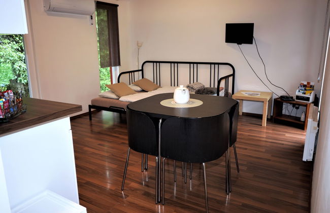 Pod Liščím kopcem 2+2 sauna - Photo 5