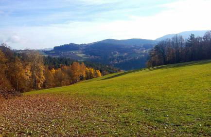 Ferienwohnungen Weghofer F**** (Viechtach) - Foto 14