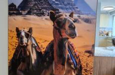 Metropolis Apartamenty Centrum - Foto 46