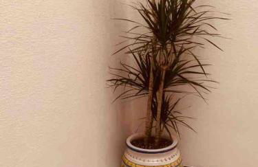 CASA RURAL VILLARRUBIA - Foto 51