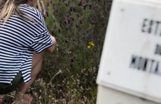 Monte Santo - Foto 40