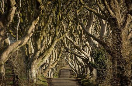 Knockanboy Loft - Foto 33