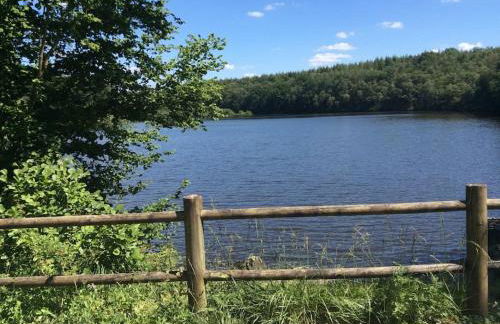 Gîte nature - 4 personnes à Signy-le-Petit - Foto 35