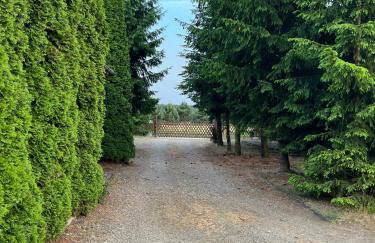 Domki Carmen - Foto 32