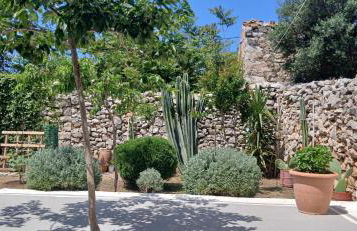 Pandera areopoli - Foto 11