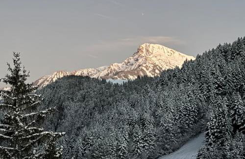 2-bed appt 20 mins from Morzine Portes du Soleil French Alps - Foto 49