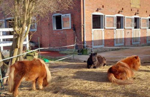 Kuschelige Ferienwohnung auf Reiterhof - Foto 2