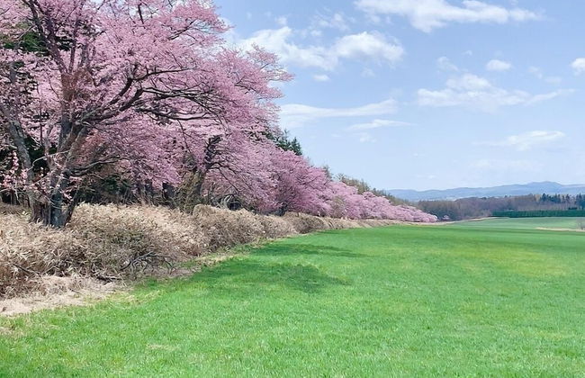 THE VILLA ABASHIRI - Foto 67